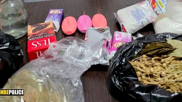 Бо нону намак ва собуну чой: Фолбин дар Душанбе меҳмононро чунин пешвоз мегирифт - Sputnik Тоҷикистон