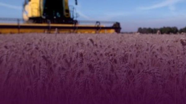 Объем экспорта сельхозпродукции Таджикистана в 2025 году составил 190,5 тыс - Sputnik Таджикистан