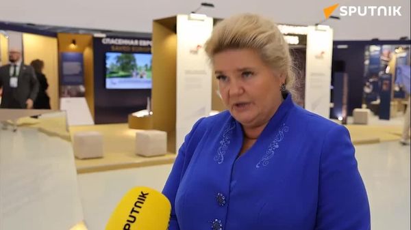 Развитие государства должно быть связано с отстаиванием собственного исторического суверенитета, а не нарративами извне - Sputnik Таджикистан