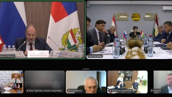 Таджикистан будет наращивать поставки сельхозпродукции на российский рынок - Sputnik Таджикистан
