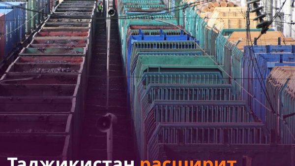 Таджикистан наращивает экспорт в Китай - Sputnik Таджикистан