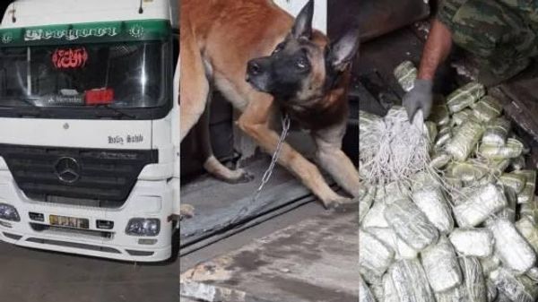 Қочоқи беш аз 52 кг афюн ва ҳашиши афғонӣ дар Ӯзбекистон ошкор шуд - Sputnik Тоҷикистон