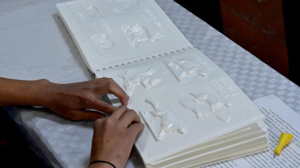 Русия бо шумост: Русия ба кӯдакони дорои нуқсонҳои инкишофӣ дар Тоҷикистон кӯмак мекунад - Sputnik Тоҷикистон
