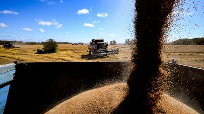 Сбор урожая зерновых в Новосибирской области.