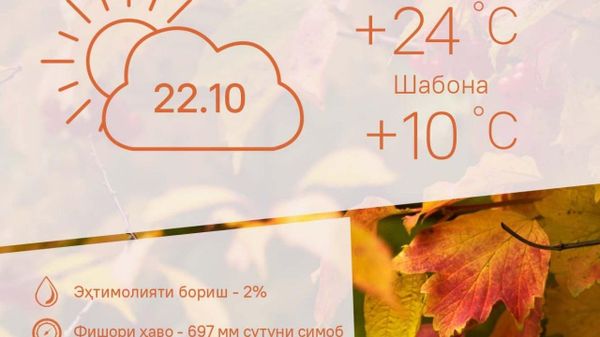 Ҳарорати миёнаи ҳаво дар пойтахти Тоҷикистон то 24 дараҷа гарм мешавад - Sputnik Тоҷикистон