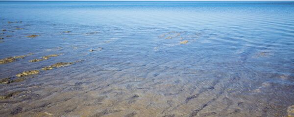 Аральское море в Узбекистане, архивное фото - Sputnik Таджикистан