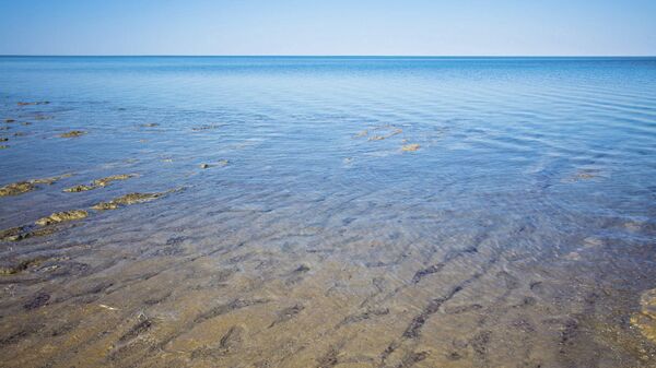 Аральское море в Узбекистане, архивное фото - Sputnik Тоҷикистон