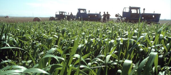 Колхозное поле, архивное фото - Sputnik Таджикистан