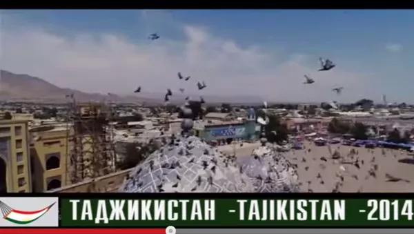 Тоҷикистон аз фарози парвози парранда - Sputnik Тоҷикистон