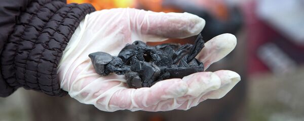 Уничтожение наркотиков. Архивное фото Уничтожение наркотиков. Архивное фото - Sputnik Таджикистан