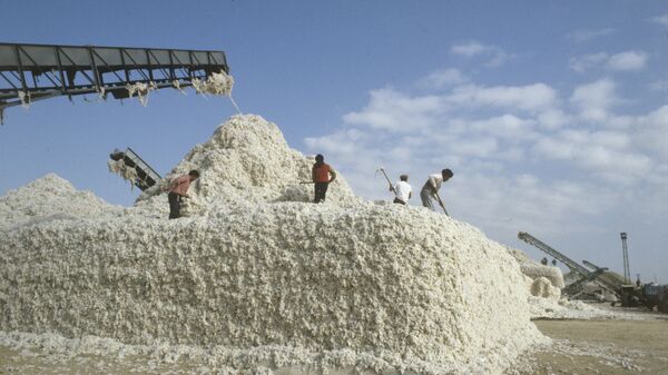 Уборка хлопчатника, архивное фото - Sputnik Тоҷикистон