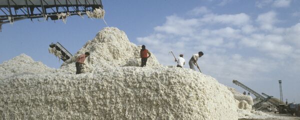 Уборка хлопчатника, архивное фото - Sputnik Таджикистан