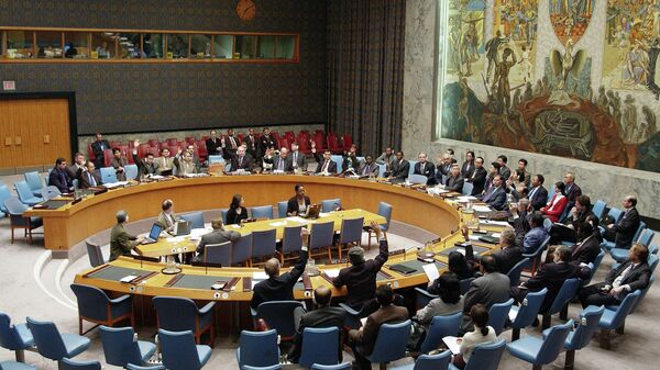 Заседание Совета Безопасности ООН - Sputnik Таджикистан