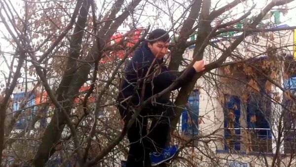 Парень спасает голубя - Sputnik Таджикистан