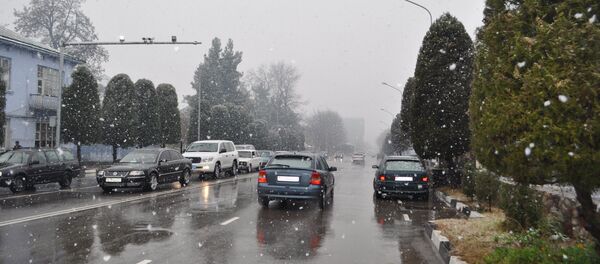 Снегопад в Душанбе 27 ноября - Sputnik Тоҷикистон