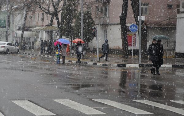Снегопад в Душанбе 27 ноября - Sputnik Таджикистан