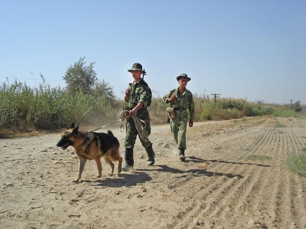 Таджикские пограничники. Архивное фото - Sputnik Таджикистан