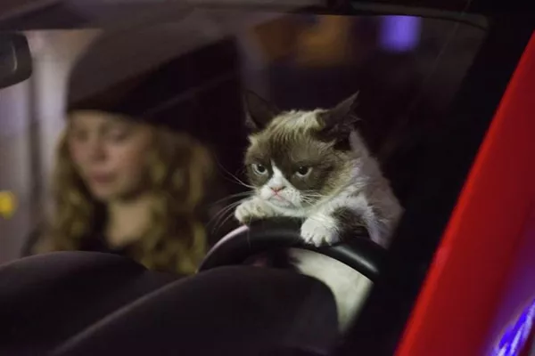 Grampy cat Grampy cat - Sputnik Тоҷикистон