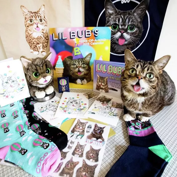 Lil Bub Lil Bub - Sputnik Тоҷикистон