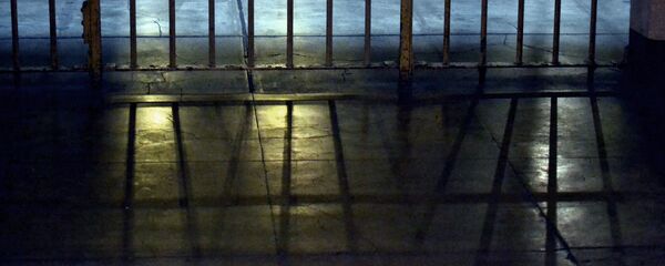 Тюремная решетка - Sputnik Тоҷикистон