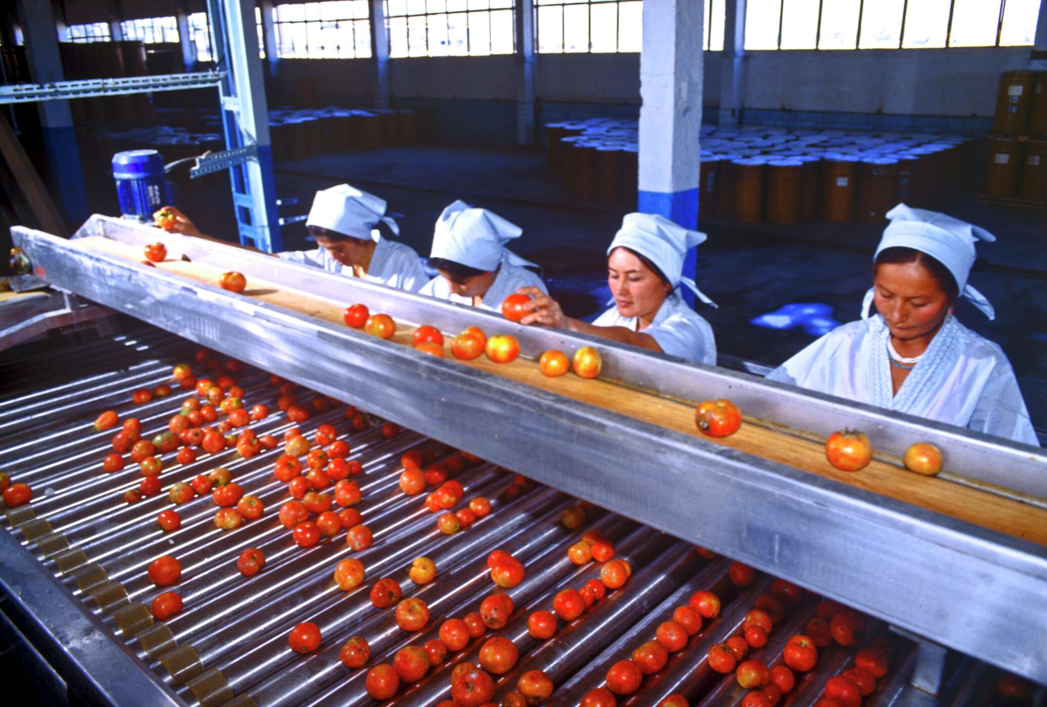 Цех переработки фруктов. Пищевая промышленность. Пищевая промышленность овощи. Пищевая промышленность Таджикистана. Плодоовощеконсервная промышленность.