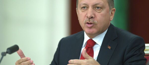 Тайиб Эрдуғон. Акс аз бойгонӣ Тайиб Эрдуғон. Акс аз бойгонӣ - Sputnik Тоҷикистон