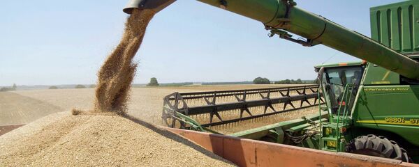 Ҷамъоварии ҳосили гандум. Акс аз бойгонӣ - Sputnik Тоҷикистон