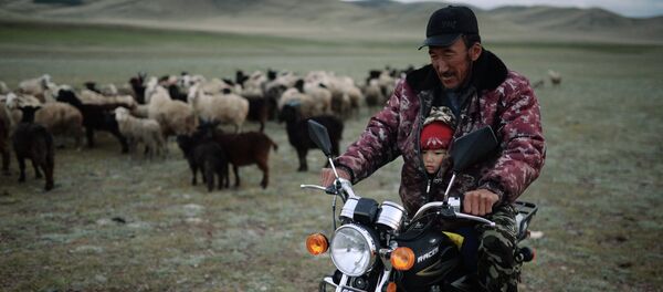Жизнь чабанов в Республике Алтай Жизнь чабанов в Республике Алтай - Sputnik Тоҷикистон