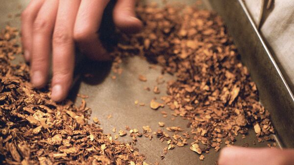 Добыча золота. Архивное фото - Sputnik Таджикистан