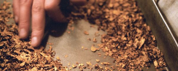 Добыча золота. Архивное фото - Sputnik Таджикистан