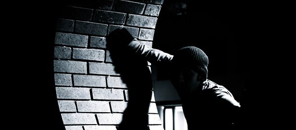 Вор, архивное фото - Sputnik Таджикистан