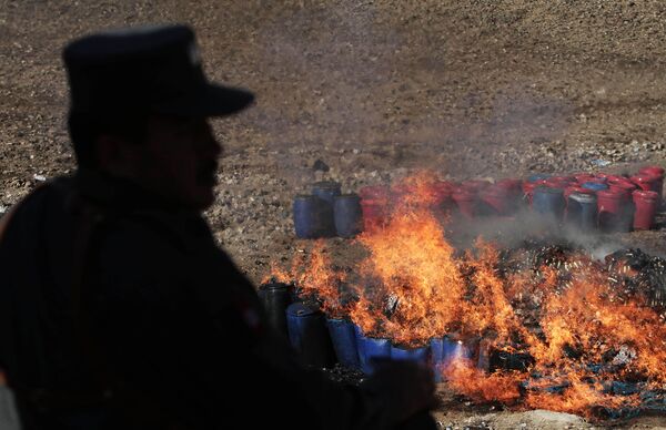 На церемонии сжигания наркотиков в Афганистане. Архивное фото - Sputnik Таджикистан
