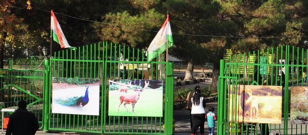 Зоопарк в Душанбе. Архивное фото - Sputnik Тоҷикистон