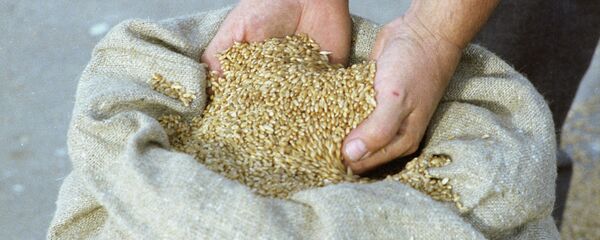 Пшеница, архивное фото - Sputnik Тоҷикистон