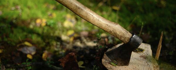 Топор, архивное фото - Sputnik Тоҷикистон