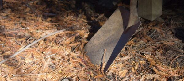 Лопата Лопата - Sputnik Тоҷикистон