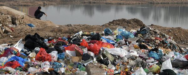 Мусорная свалка в Душанбе. Архивное фото Мусорная свалка в Душанбе. Архивное фото - Sputnik Таджикистан