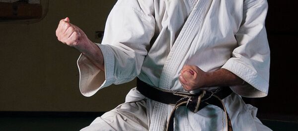 Каратист, архивное фото - Sputnik Таджикистан