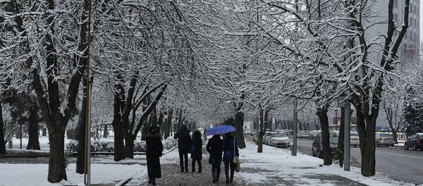 Снегопад в Душанбе 24 февраля 2015 года - Sputnik Тоҷикистон