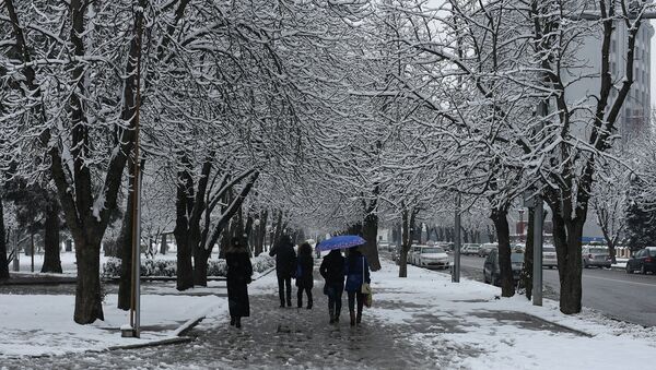Снегопад в Душанбе 24 февраля 2015 года - Sputnik Тоҷикистон
