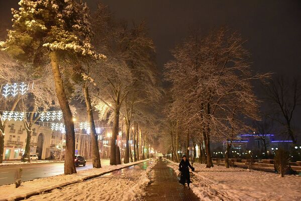 Снегопад в Душанбе 24 февраля 2015 года - Sputnik Таджикистан