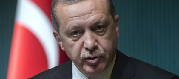 Реджеп Тайип Эрдоган. Архивное фото. Реджеп Тайип Эрдоган. Архивное фото. - Sputnik Таджикистан