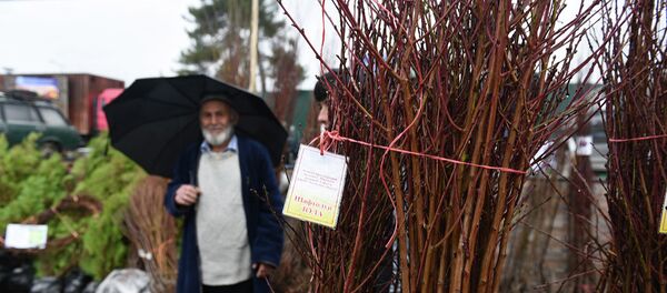 Ярмарка саженцев в Душанбе Ярмарка саженцев в Душанбе - Sputnik Таджикистан
