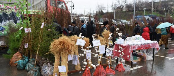 Ярмарка саженцев в Душанбе - Sputnik Тоҷикистон