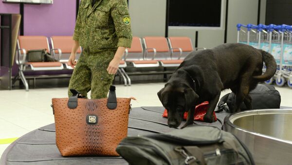 Работница таможни со специально обученной собакой, которая ищет в багаже наркосодержащие вещества. Архивное фото - Sputnik Таджикистан