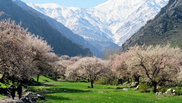 Весна в горах Таджикистана. Архивное фото - Sputnik Таджикистан