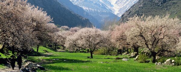 Весна в горах Таджикистана, архивное фото - Sputnik Тоҷикистон