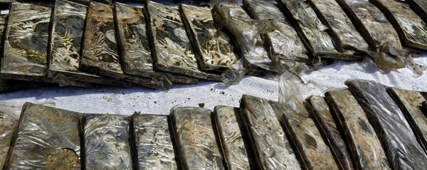 Пакеты с гашишем, архивное фото - Sputnik Тоҷикистон