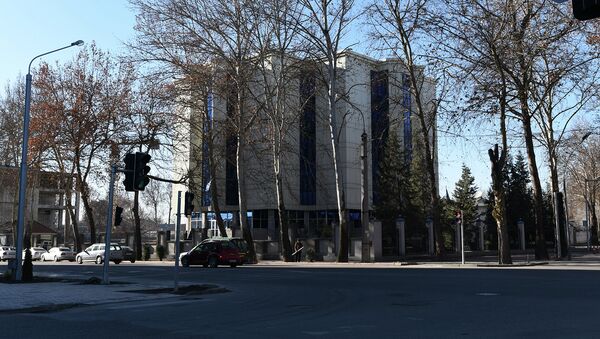 Здание Таможенной службы Таджикистана, архивное фото - Sputnik Таджикистан