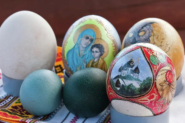 Дар Лимпопо-и Нижний новгород тухмҳои шутурмурғ бо имзои кормандони боғи ҳайвонот гузошта шудаанд Дар Лимпопо-и Нижний новгород тухмҳои шутурмурғ бо имзои кормандони боғи ҳайвонот гузошта шудаанд - Sputnik Тоҷикистон